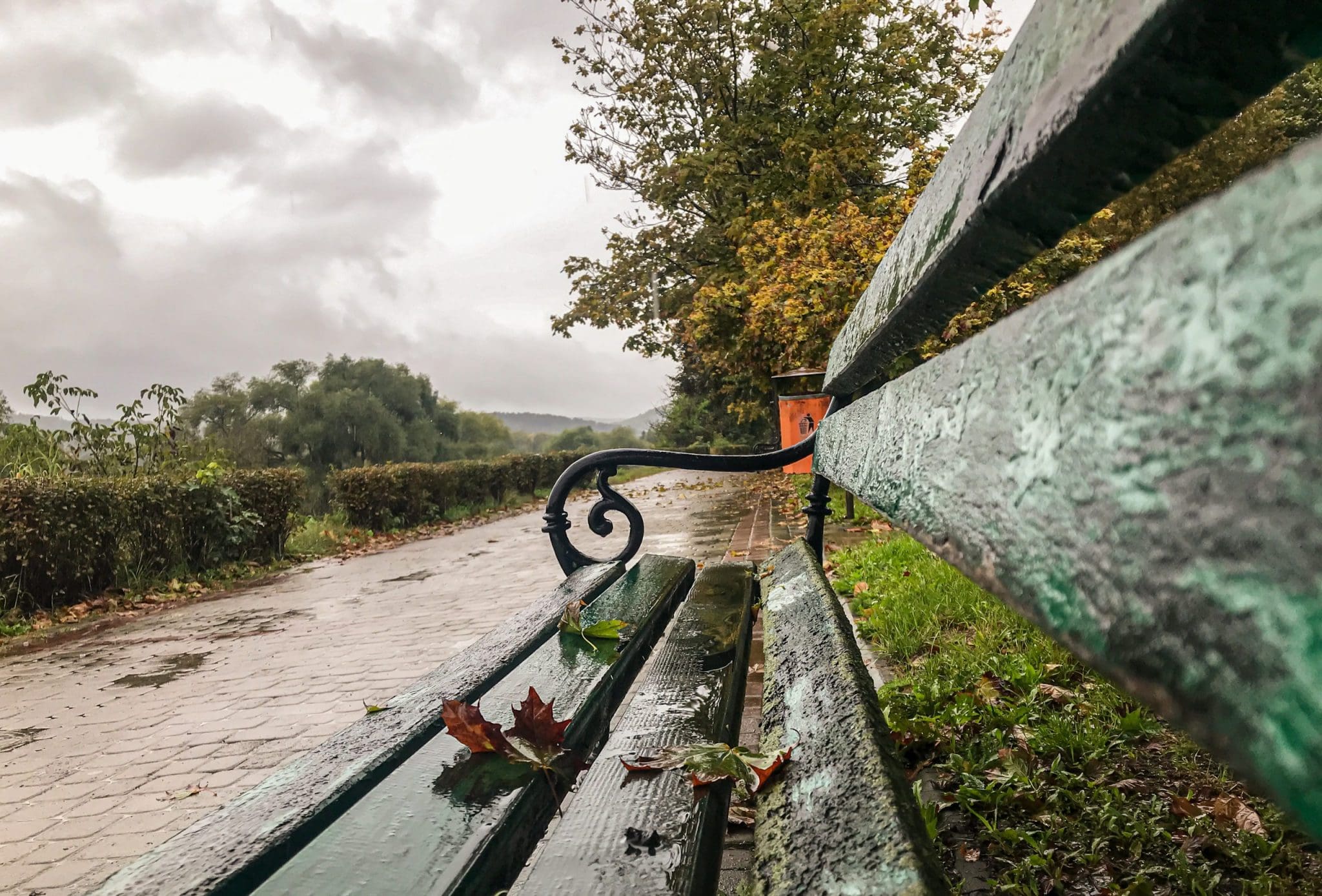 Common Causes of leaking roofs